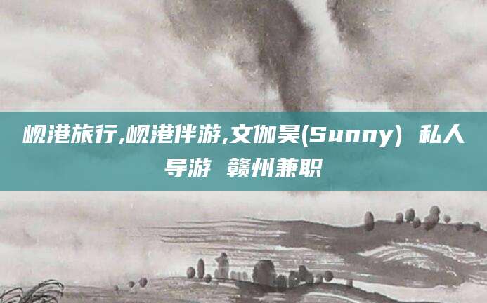 东营岘港旅行,岘港伴游,文伽昊(Sunny) 私人导游 赣州兼职